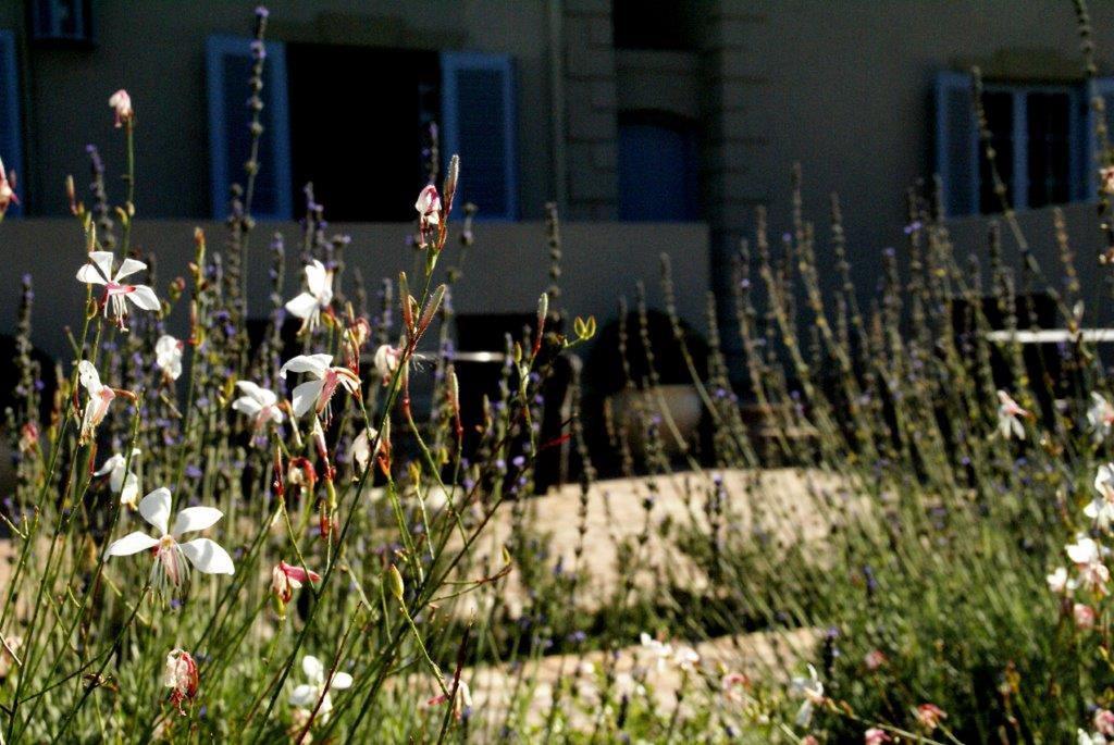 La Cabriere Country House Franschhoek Esterno foto