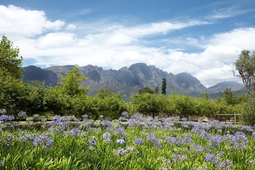 La Cabriere Country House Franschhoek Camera foto